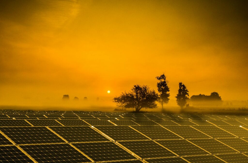 Sunrise over a large utility-scale solar farm in a misty field